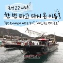 대물낚시 | 통영문어배낚시 재방문 후기｜끝물인데도 또 오게 만든 고고피싱호