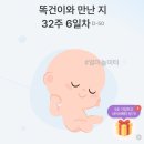 야탑로65번길 이미지