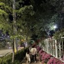 우경목욕탕 이미지