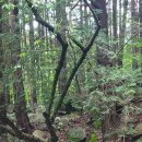 학교민박 이미지