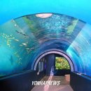 화진포해양박물관 이미지