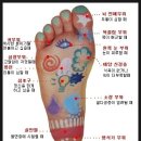 발건강 이미지