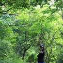 창공펜션 이미지