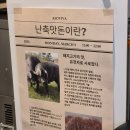 아소비바 | 신촌데이트로 추천! 연세대 맛집 아소비바 신촌연세대본점 후기