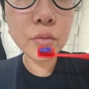 퍼플이 미백치약 추천 🤍 치아 톤업 제대로 느낀 퍼플E 치약 솔직후기