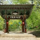 김룡사