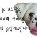 에이원(A1)미용실