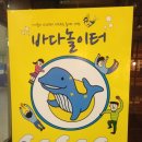 바다놀이터 이미지