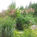 금곡리 삼효각 이미지