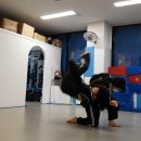 용인대 남양 태권도장 이미지