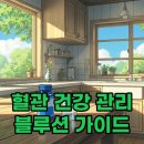블루션 | 혈압 혈당 콜레스테롤 관리 돕는 블루션 성분과 혈행 개선 정보