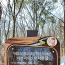 이사주당 유한규묘 | 세상 걷기_#365_이사주당의 묘 _처인구 모현읍 왕산리