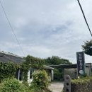 앗싸 해물칼국수 물회 | 제주 협재 해물칼국수 한치물회 맛집 협재칼국수 내돈내산 후기