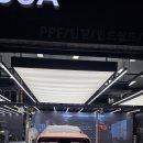 카드레스스킨