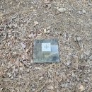 월류식당 이미지