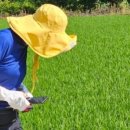 원주굽이길 14코스 흥업캠퍼스낭만길 이미지