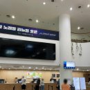 스카이리조트 | 평창 휘닉스파크 리조트 블루동 스카이 스위트 아기랑 후기!