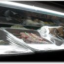 중앙동245 이미지