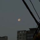 [한달일기] 굿바이 2023, 12월 한달일기
