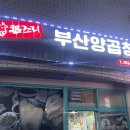 제주곱창 서귀동 복조리부산양곱창 내돈내산후기