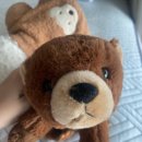 곰목장 | 노보리베츠 곰목장 후기 생각보다 재밌음 케이블카 가격 내돈내산 자유여행