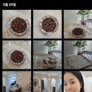 라비아래쉬앤브로우