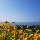 풍류마을펜션 이미지