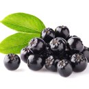 아로니아 이미지