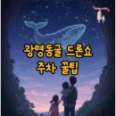 아이샤팩토리 | 2025 광명동굴 드론쇼 후기! 주차 꿀팁과 명당 총정리