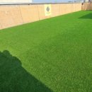 제제네 멍치원 이미지