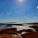 베베풀빌라 이미지