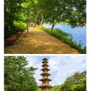 270-3506 | 남도에서 한달 여행하기/전라남도에서 한달 살면서 여행비도 지원받아요/남도여행 후기