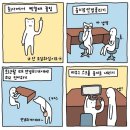 Luminous Moment : 2024년 11월 주간일기 - 1 (11.04~11.10)
