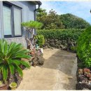 성산일출봉민박 이미지