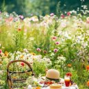 오늘달려 이미지