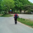 세동천 이미지