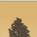 성균관로 이미지