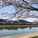 한우 사랑의 동산 이미지