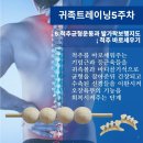 귀족미가 이미지