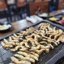 한라풍천장어