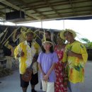 코코넛19 이미지