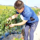 은숙농장 이미지