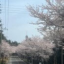 임회면 십일시장 이미지