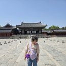 태종동물병원 | 아이와 궁궐산책, 창경궁에서 배우는 조선의 역사이야기