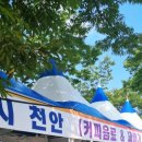 잇와플6호차 이미지