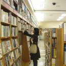 영  풍 이미지