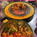 신마포 갈매기 이미지