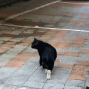 옥천민물매운탕 - 포천시 화동로 395 | 옥천민물매운탕
