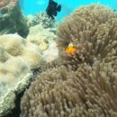 엘리펀트 마켓 이미지