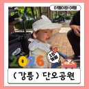 세븐일레븐 강릉단오공원점 | (강릉) 단오공원